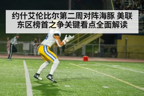 american football wide receiver catch